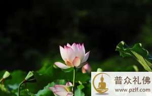 吉凶祸福不是定论,随时可以转