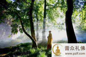 吴言生说禅:自家宝藏