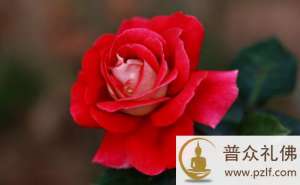 女孩子为什么不能穿着太暴露?