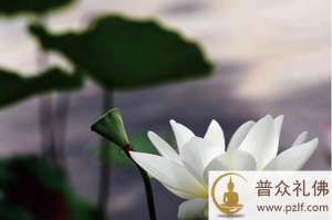 吃亏是福,有着深刻的哲理在其