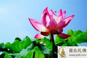 天天伴佛眠,朝朝从佛起