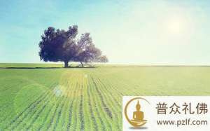 夫妻能够时时先检讨自己,坏事