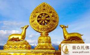 在生命的尽头,这些东西还有用