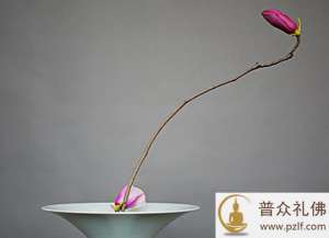 在你生命里出现的一切,都有原