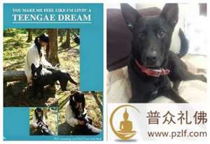 女孩遇4名歹徒被流浪狗救下 经