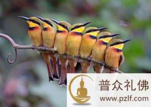 因爱则生忧,因爱便有畏