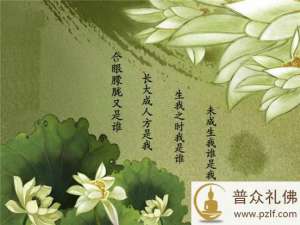 因为吃饭而下地狱,这样太没意