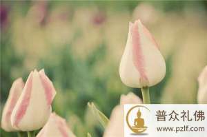 如何以礼待人,显见自心中佛