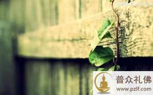 善恶到头终有报,只争来早与来