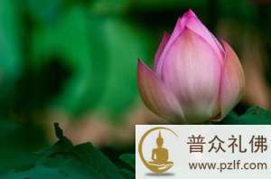 如是利益,百千万亿法门之所无