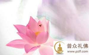 善良的到来,永远不会太迟