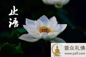 女子前世经常恶口骂人,转生丑