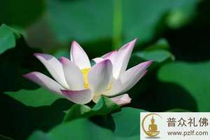 天下不治,匹夫有责