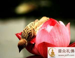 只要常求己过,答案自在我心