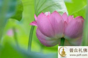 善用其心,则获一切胜妙功德