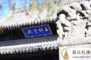 大般涅槃经:不食肉者,有大功