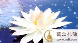 在家居士定课,单一点为好