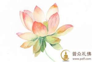 契理契机,找到适合自己的法门