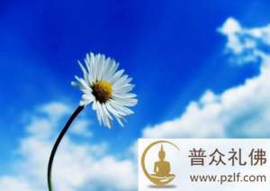 善于调整心态,是人生最大的财