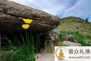 在业力的推动下,没有人是故意