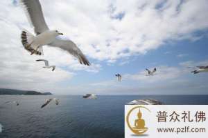 只要肯布施,就会有好的果报