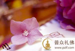 坚持真如,妄想自然消失