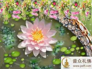 大安法师:阿弥陀佛四十八大愿