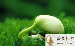 夫妻守住这条箴言,就一定可以