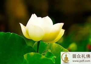 善人念佛求生西方,决定临终即