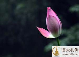 善用顺缘人身,不因障碍而沮丧