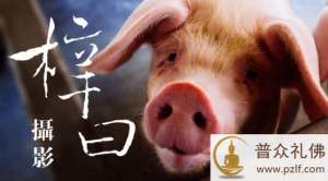 如果利益不到众生,也要尽可能