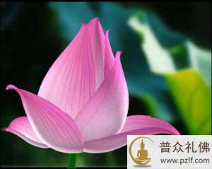 如何免费得福报?