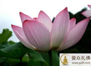 因为懂你,所以慈悲