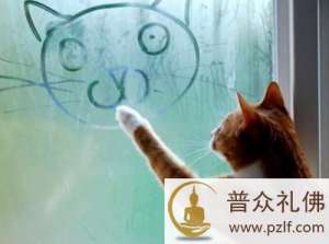 失去是一种痛苦,也是一种幸福