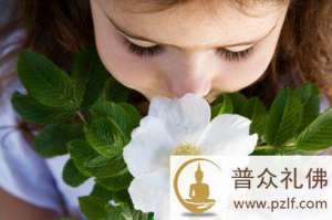 多一份宽容,生活就多一份快乐