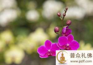 坚守自己,不随波逐流