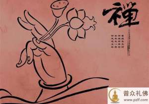 如何分配生命的时间和空间?