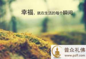 将一切追求与执取放下