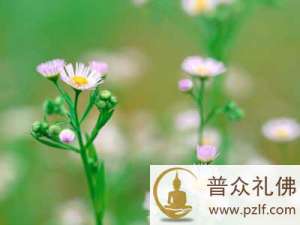 同学聚会聚得是什么?