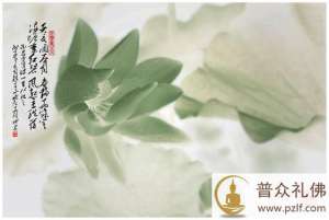 天地之大德曰生,如来之大道曰