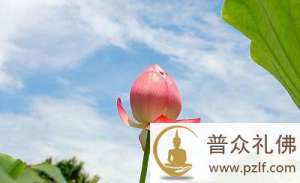 善良被人利用,该怎么办