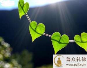 吃素是福,不再与众生结恶缘