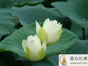 善者可以为法,恶者可以为戒