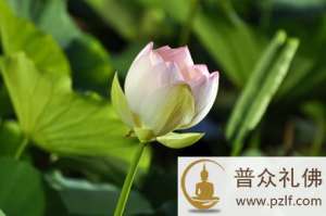 在世间中得解脱,要按四个步骤