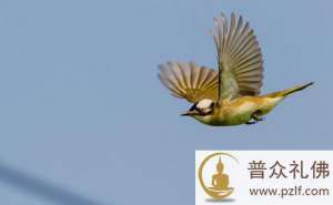 哪怕只能救护一个生命,也是有