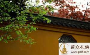 在生活中修行,红尘中历练