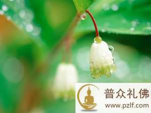 学会面对失去,才能从失去中获