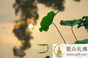 失去的不会再来,请珍惜当下!