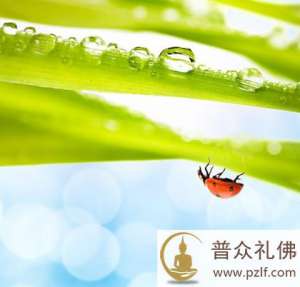 因果复杂,肉眼凡夫不能明了