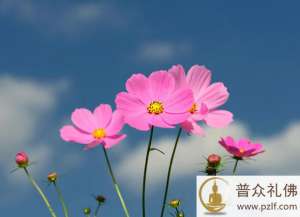 吾无隐乎尔──你嗅到花香吗?